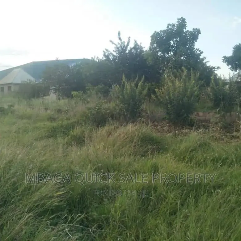 Plot for Sale at Chalinze Lugoba in Chalinze