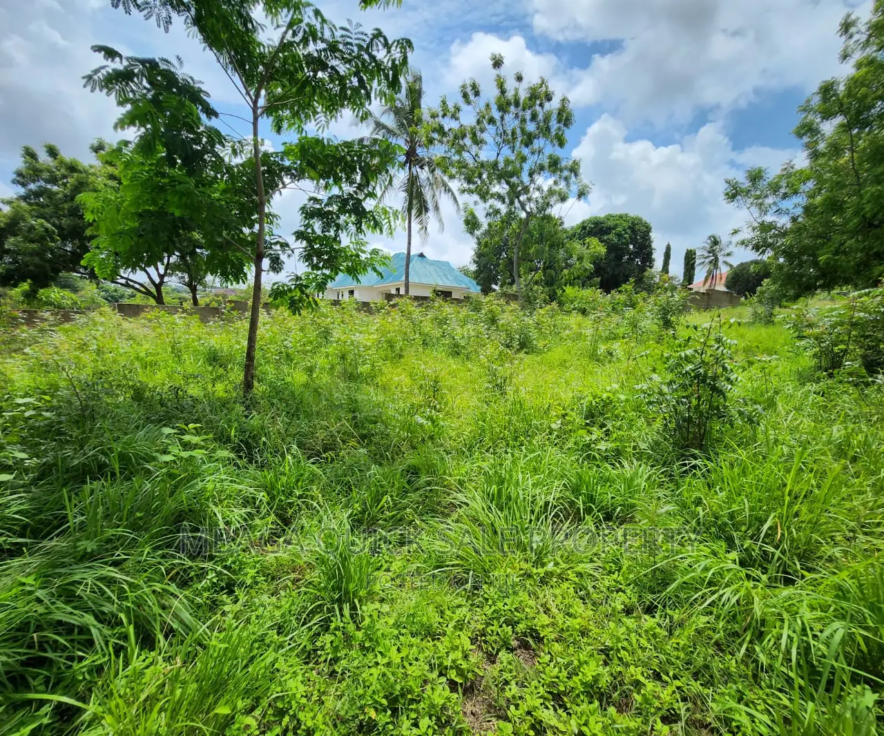 Plot for Sale at Salasala TSH 180,000,000mil Area Sqm1500 in Goba