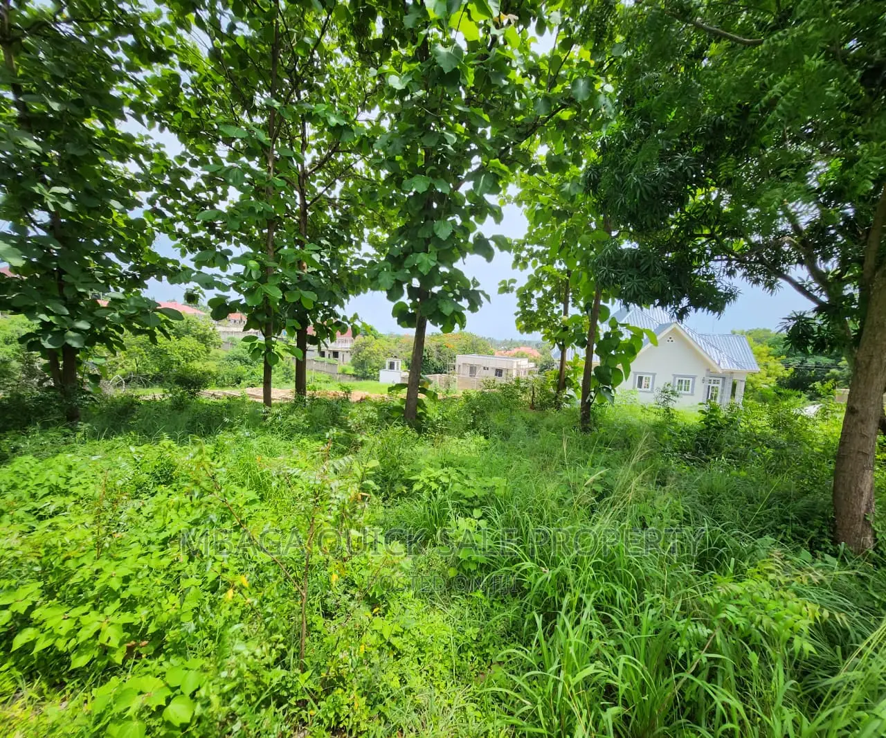 Plot for Sale at Salasala TSH 180,000,000mil Area Sqm1500 in Goba