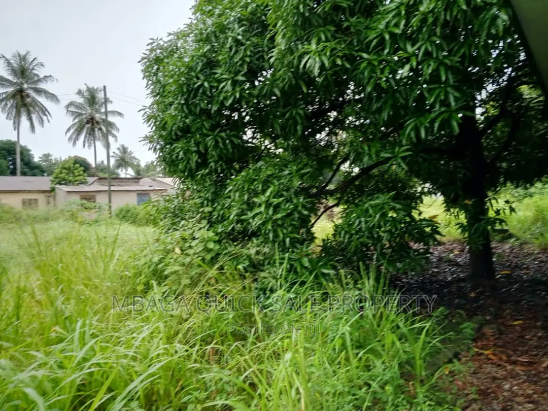 Plot for Sale at Kibaha Kongowe in Maili Mmoja