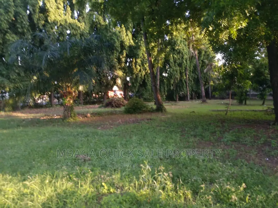 Plot for Rent at Ada Estate in Ada Estate