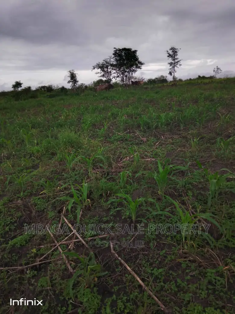Farm for Sale at Mbwewe Chalinze in Chalinze