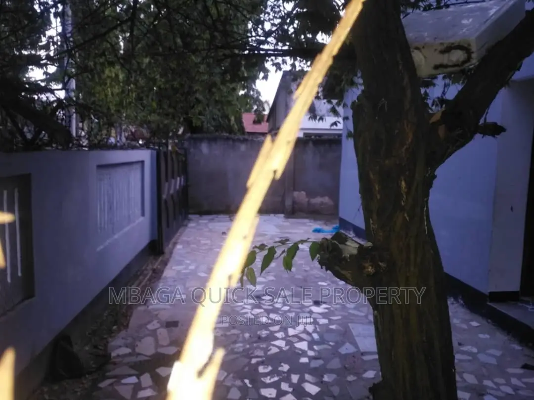 4bdrm House in Mikocheni B for rent in Mikocheni