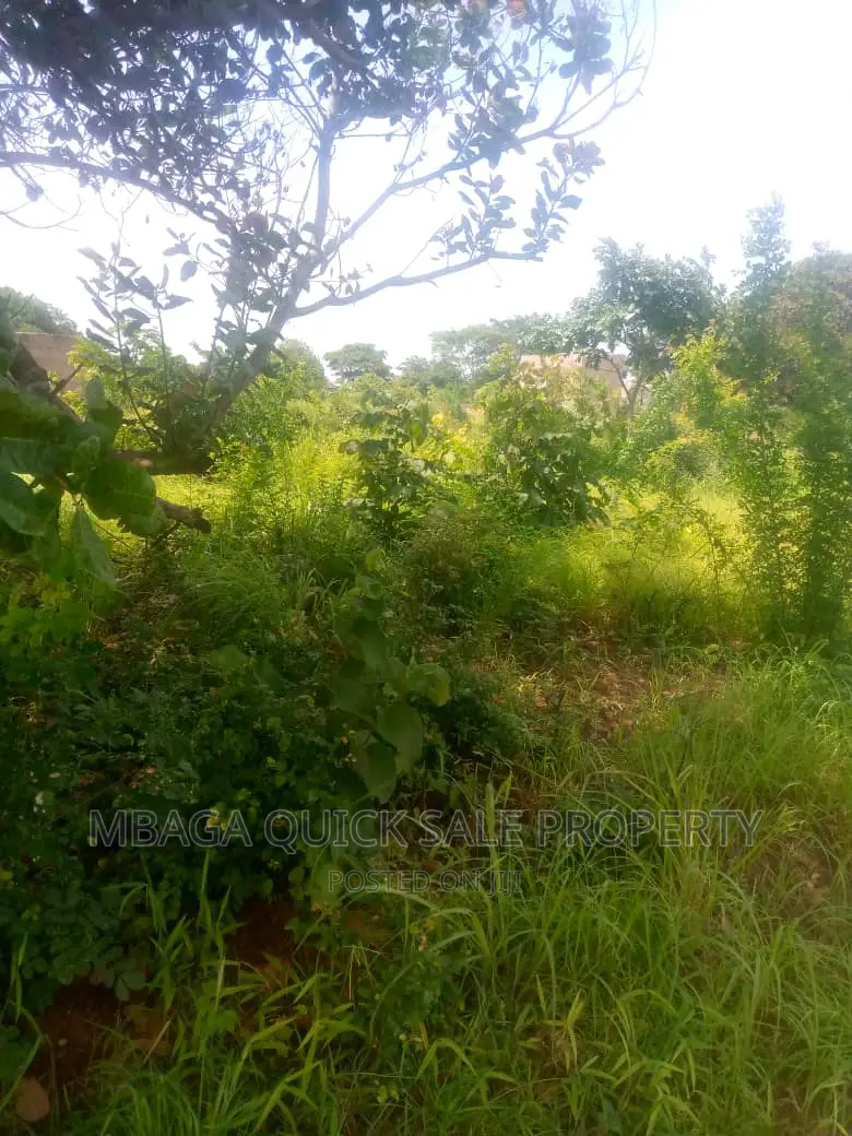Plot for Sale at Kibaha Msufini in Kigamboni