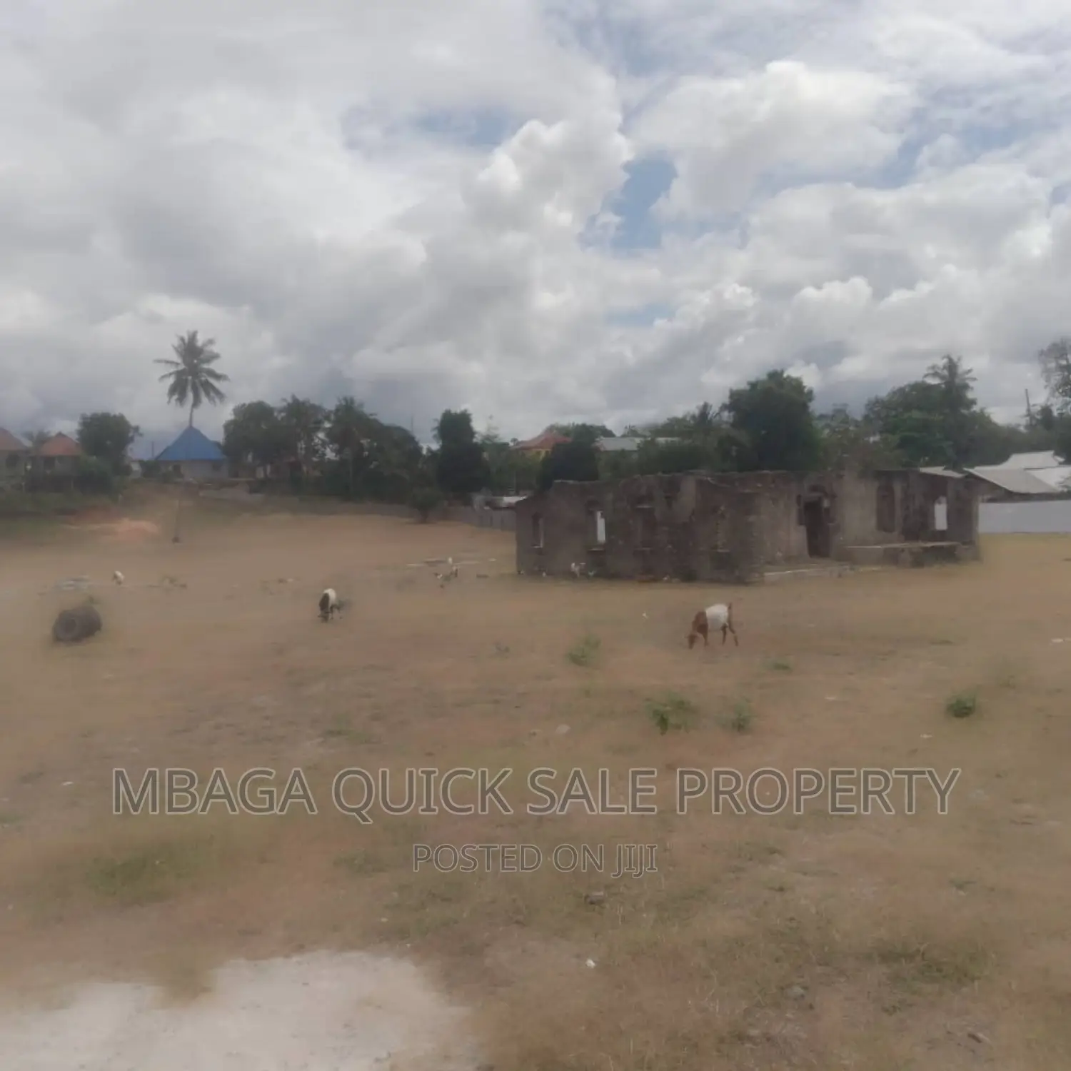 Plot for Sale at Bagamoyo in Mabawa