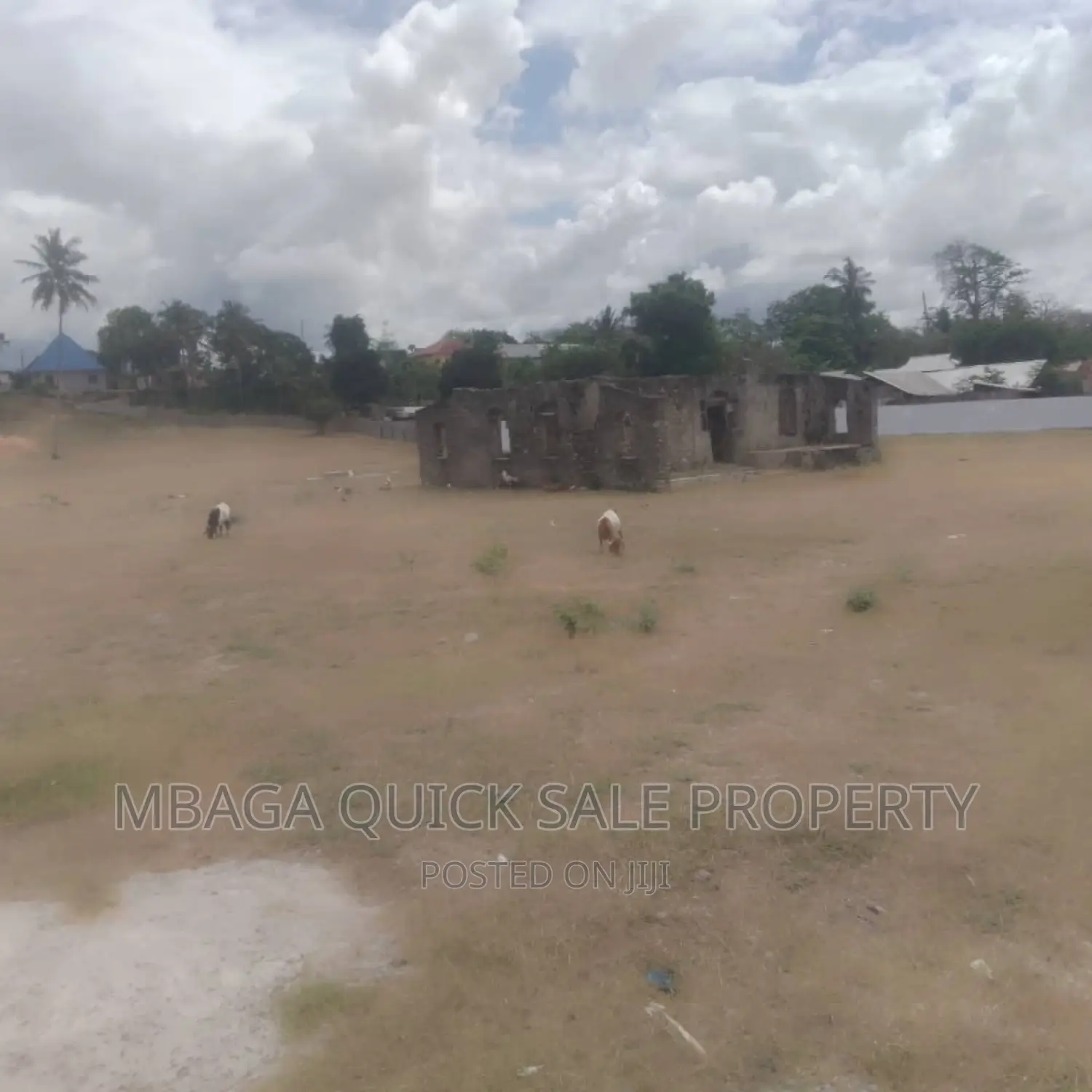 Plot for Sale at Bagamoyo in Mabawa