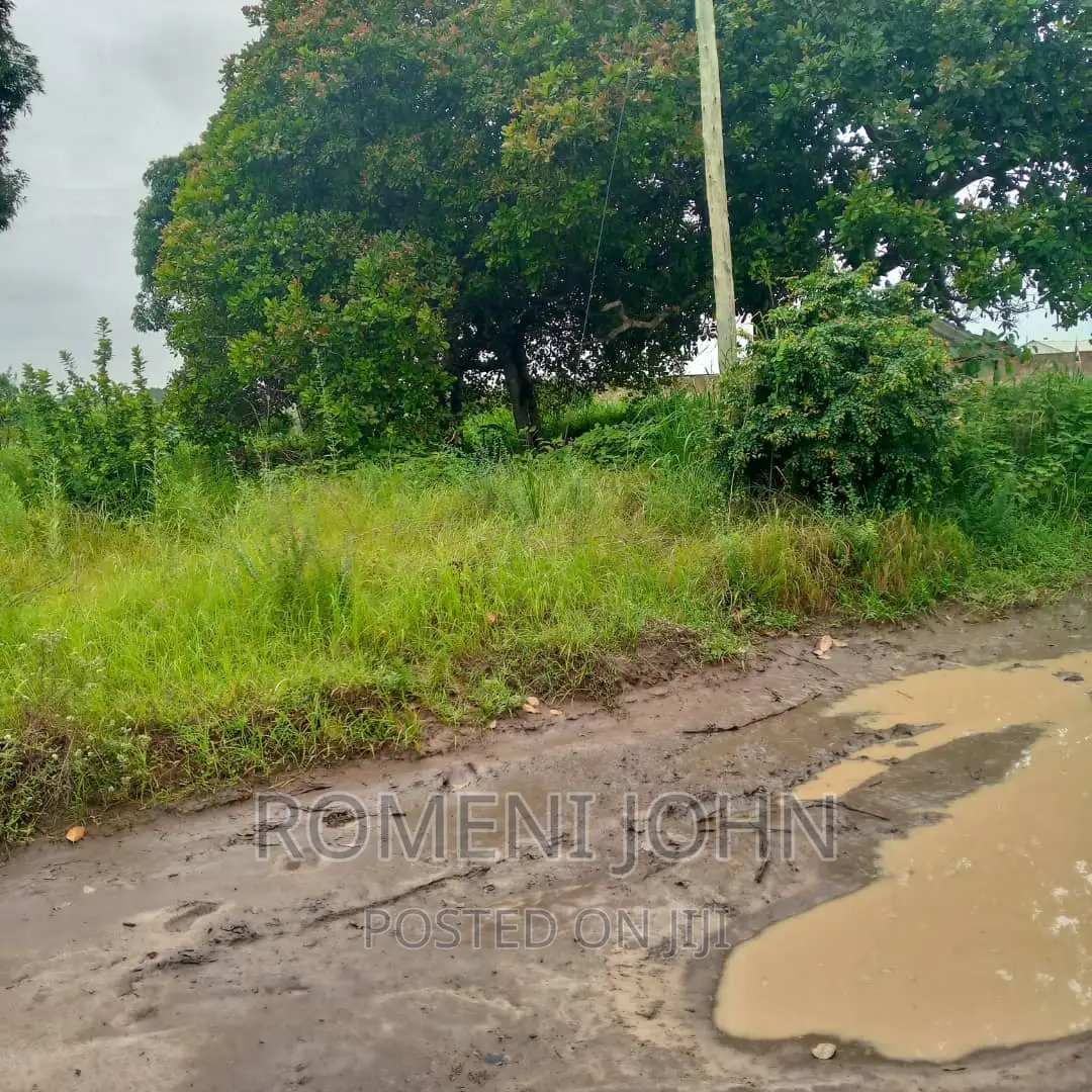 Eneo La Viwanda Hk 5 Linauzwa Ml 500 Kibaha Misugusugu. in Ilala