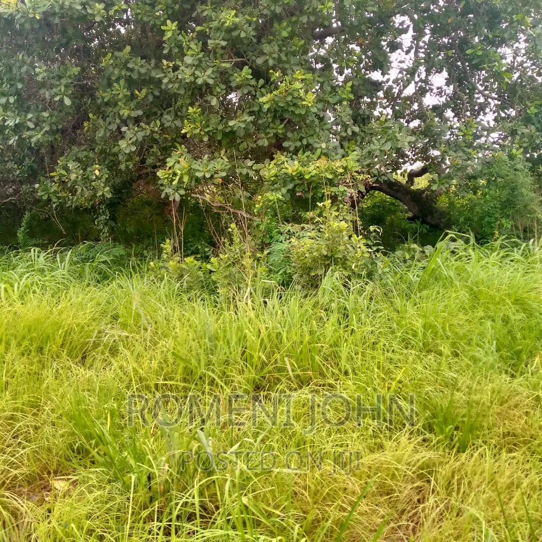 Eneo Hk 5 La Viwanda Linauzwa Ml 600 Kibaha Misugusugu. in Ilala
