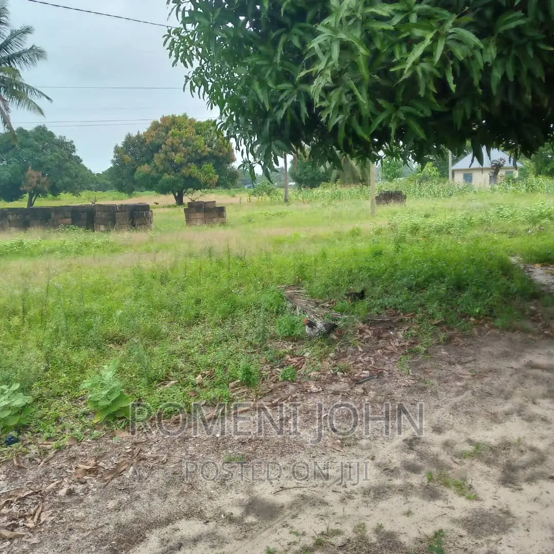 Eneo La Viwanda Hk 2 Linauzwa Ml 200 Kibaha Misugusugu. in Ilala