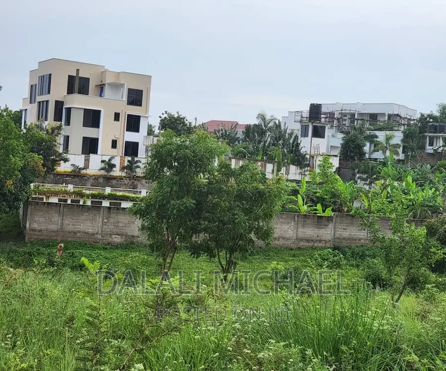 Goba Plot for Sale: in Goba