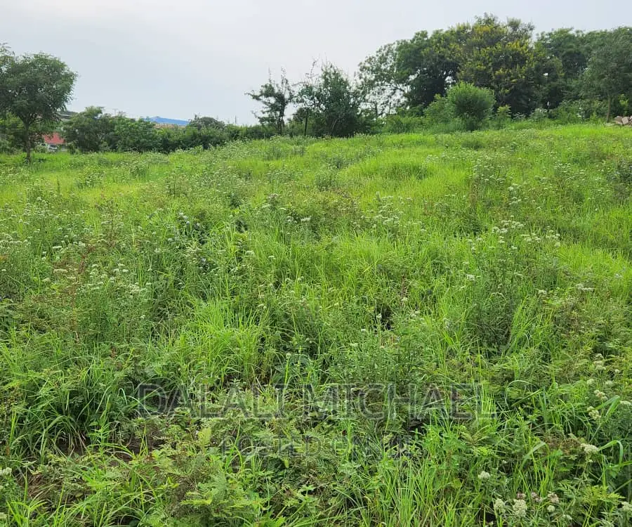 Goba Plot for Sale: in Goba
