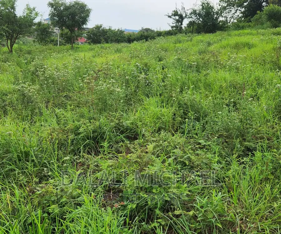 Goba Plot for Sale: in Goba
