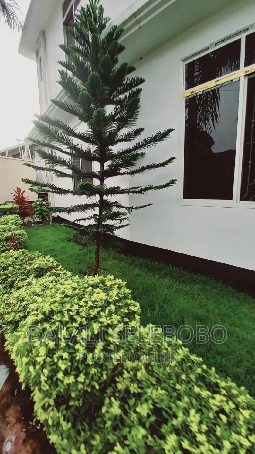 Furnished 2bdrm Apartment in Ubungo Kibo, Kinondoni for rent in Kinondoni