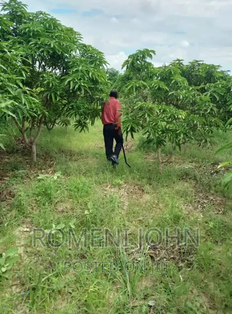 Eneo Hk 3 La Viwanda Linauzwa Ml 300 Bagamoyo Mapinga. in Ilala