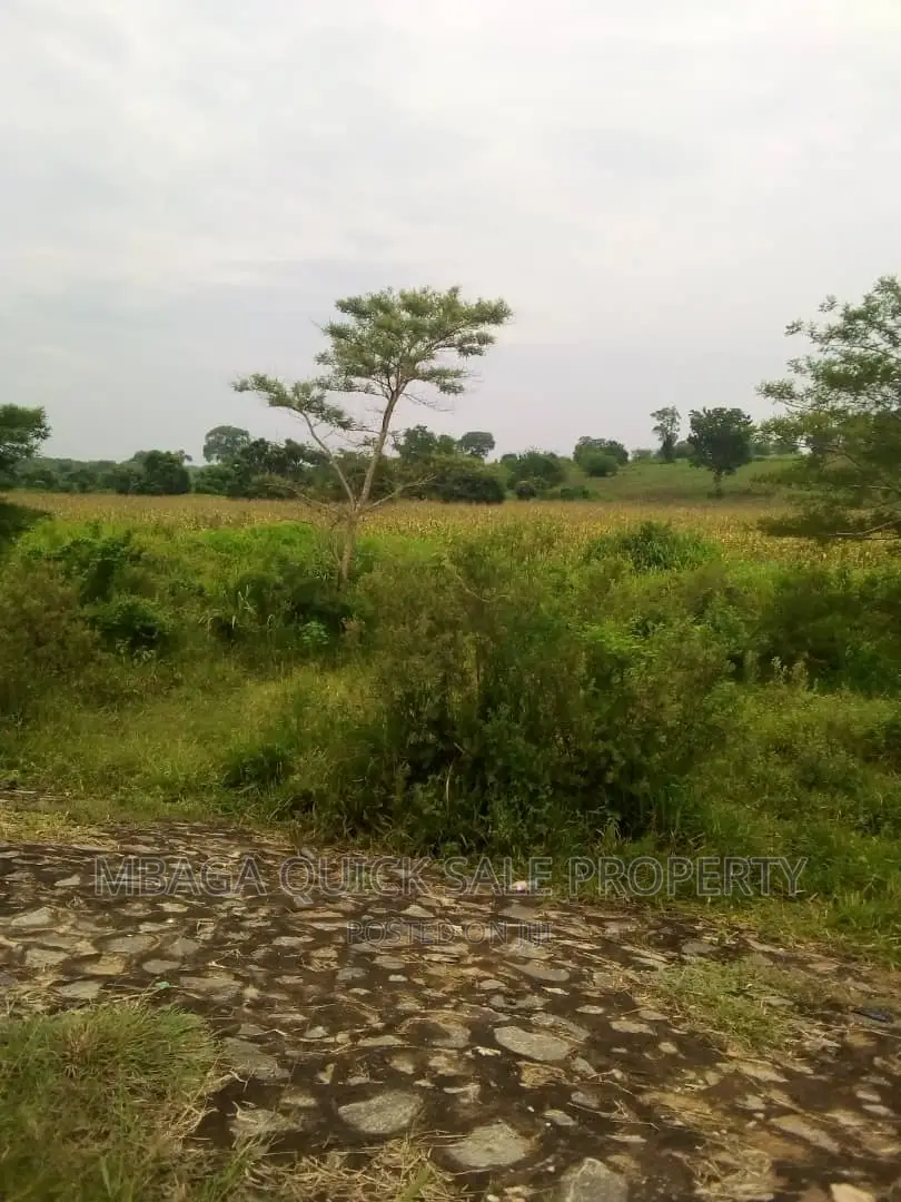 Farm for Sale at Chalinze in Chalinze