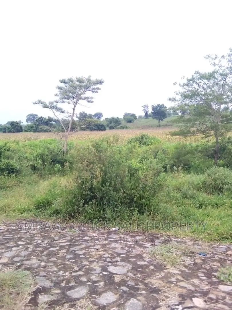 Farm for Sale at Chalinze in Chalinze