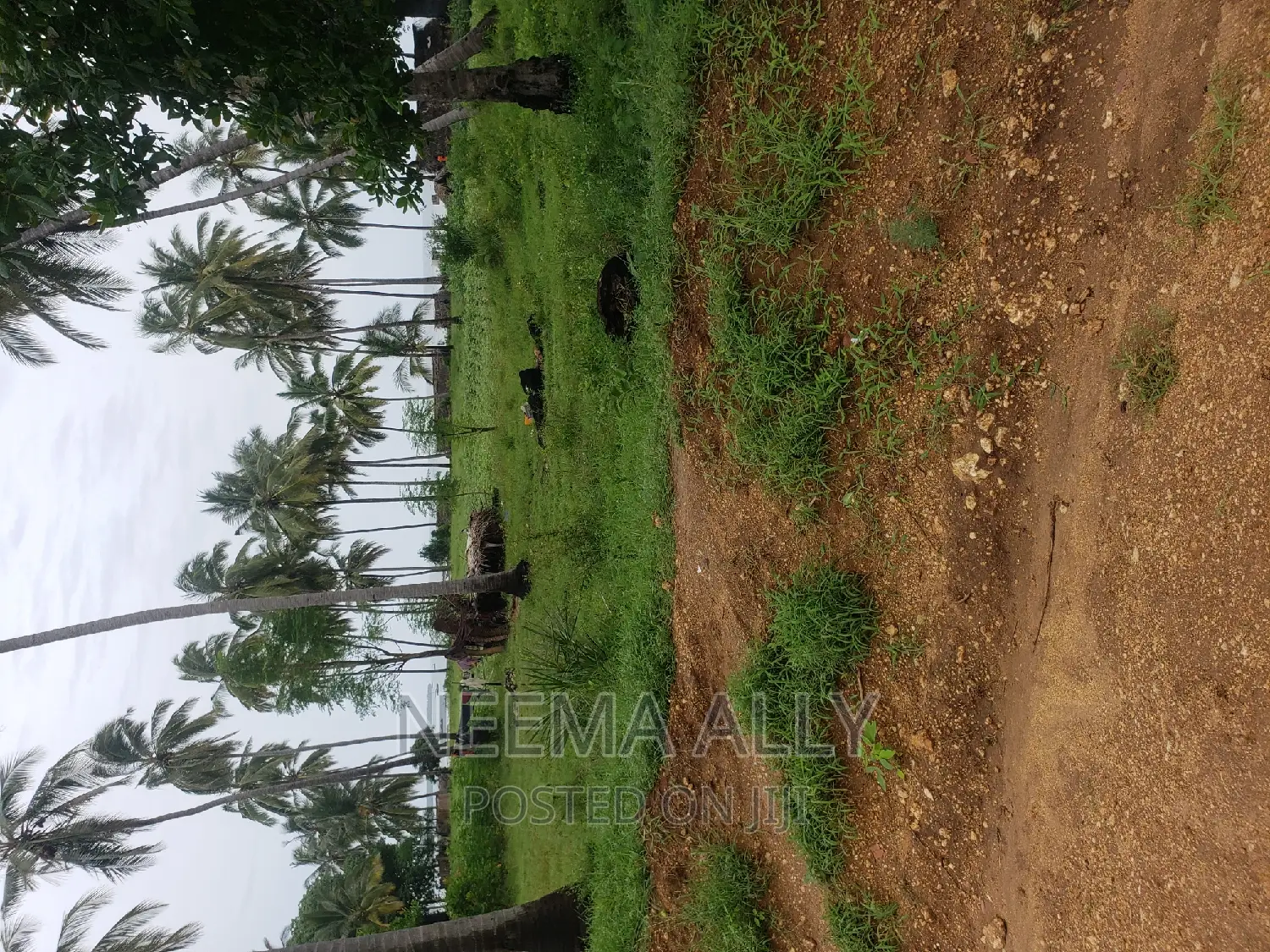 Viwanja Karibu Na Barabara in Kigamboni