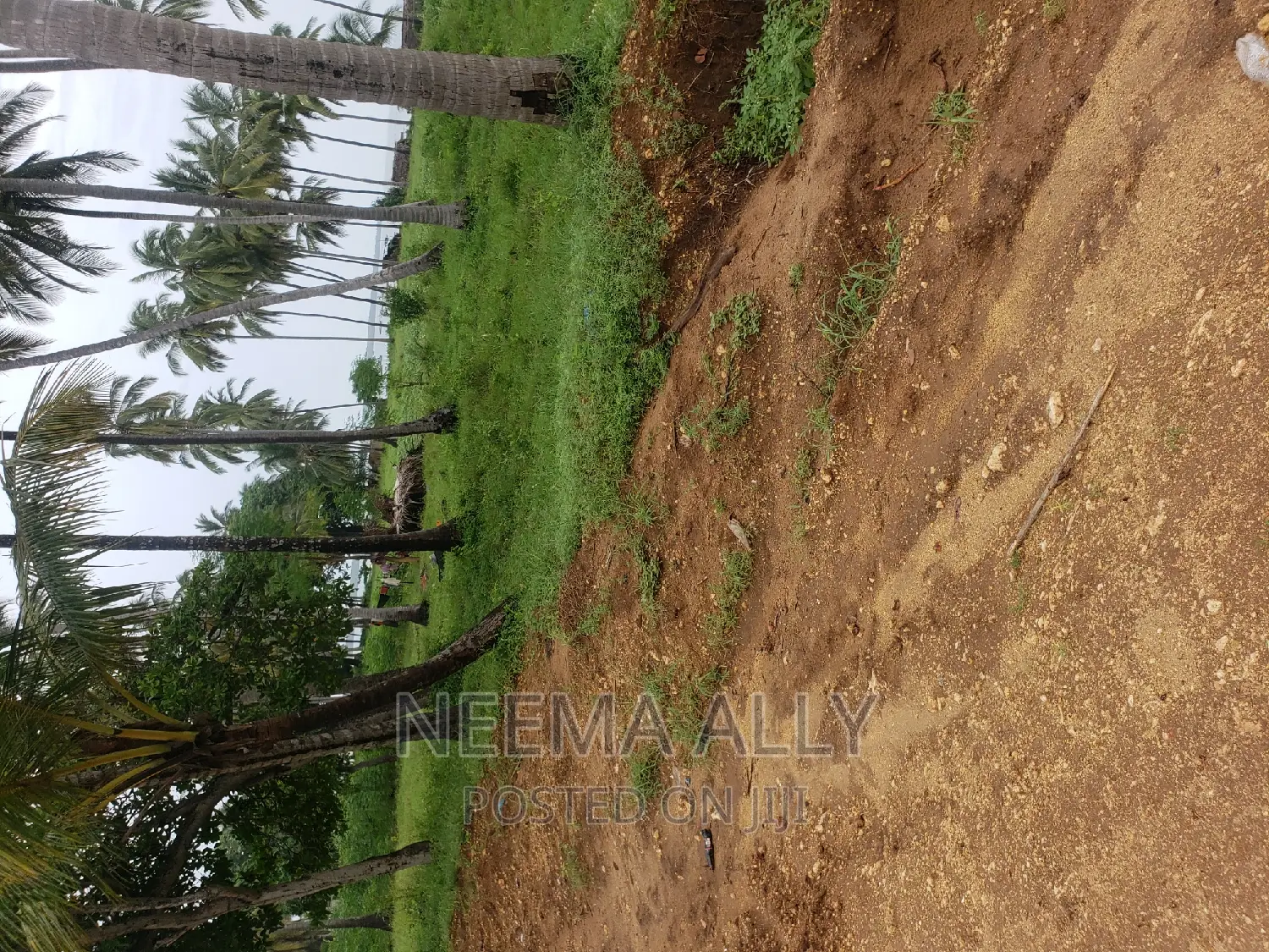 Viwanja Karibu Na Barabara in Kigamboni