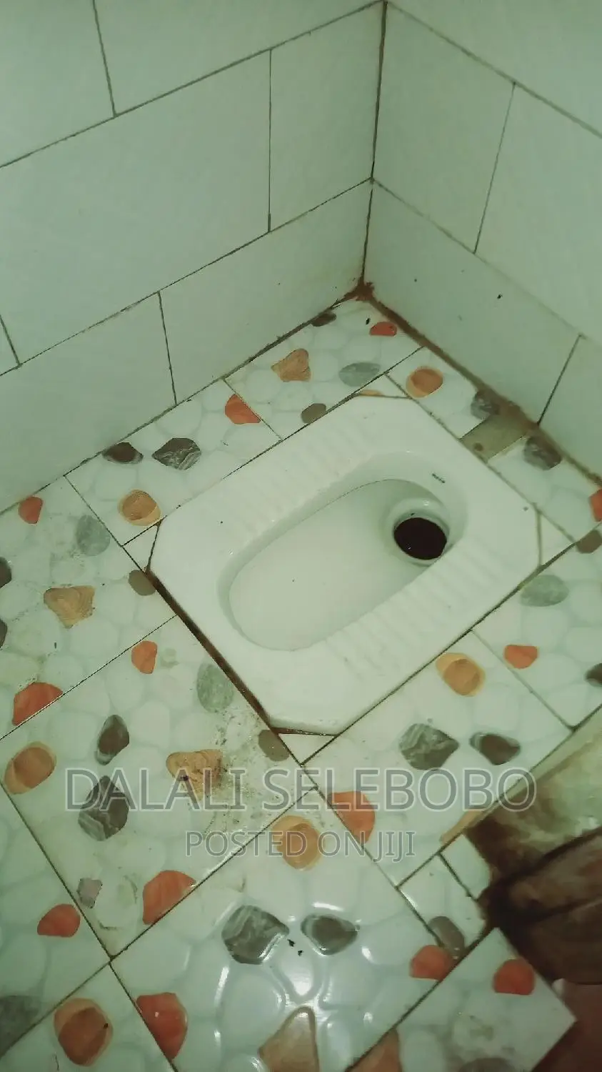 Furnished 1bdrm Shared Apartment in Mawasliano Stand, Kinondoni in Kinondoni