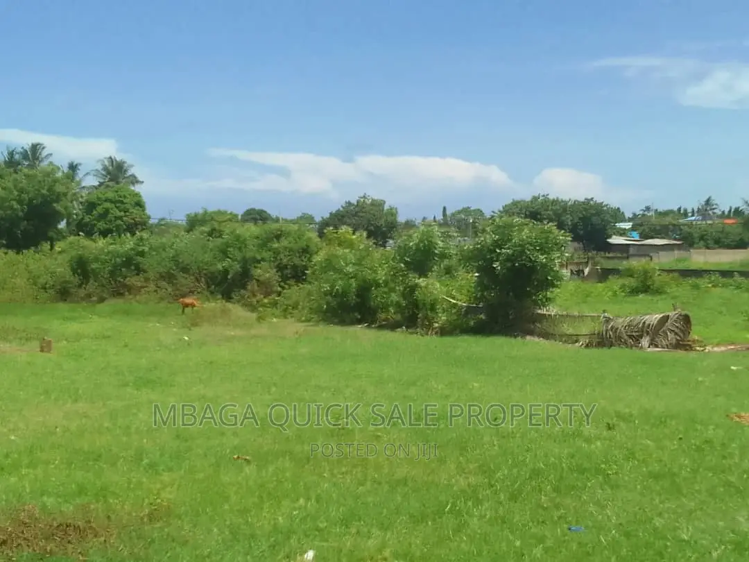 Yard for Rent at Mbezi Beach Africans in Mbezi Beach