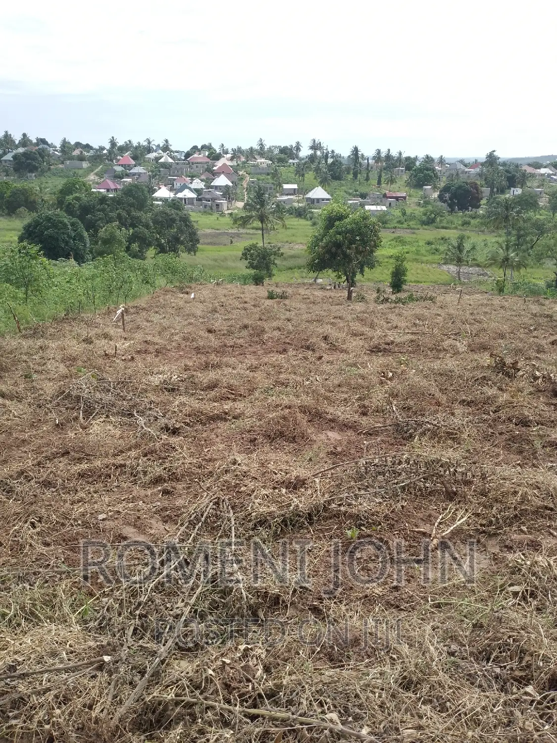 Kiwanja Sqmita 200 Kinauzwa Ml 2.8 Chanika Buyuni. in Ilala