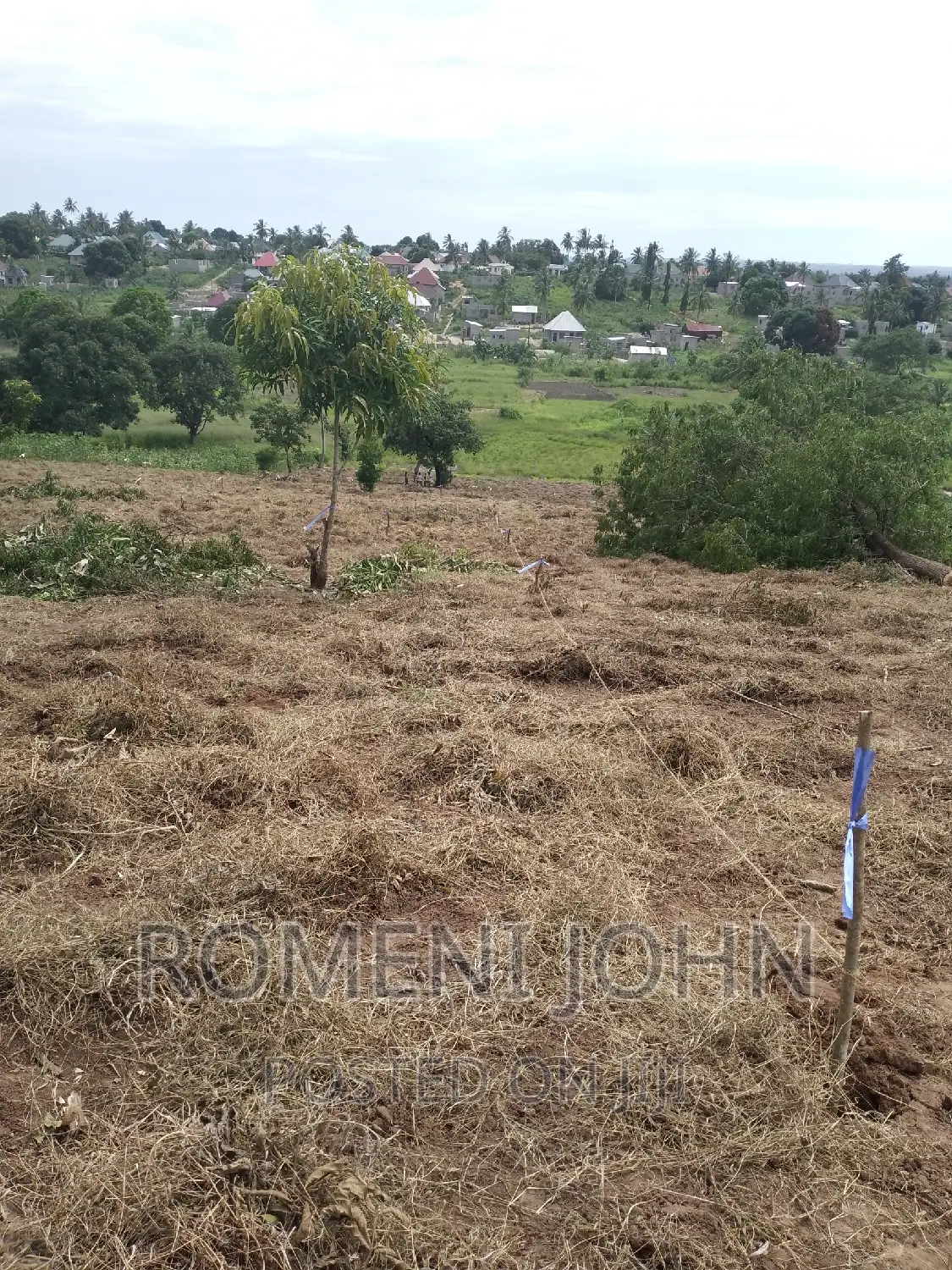 Kiwanja Sqmita 200 Kinauzwa Ml 2.8 Chanika Buyuni. in Ilala