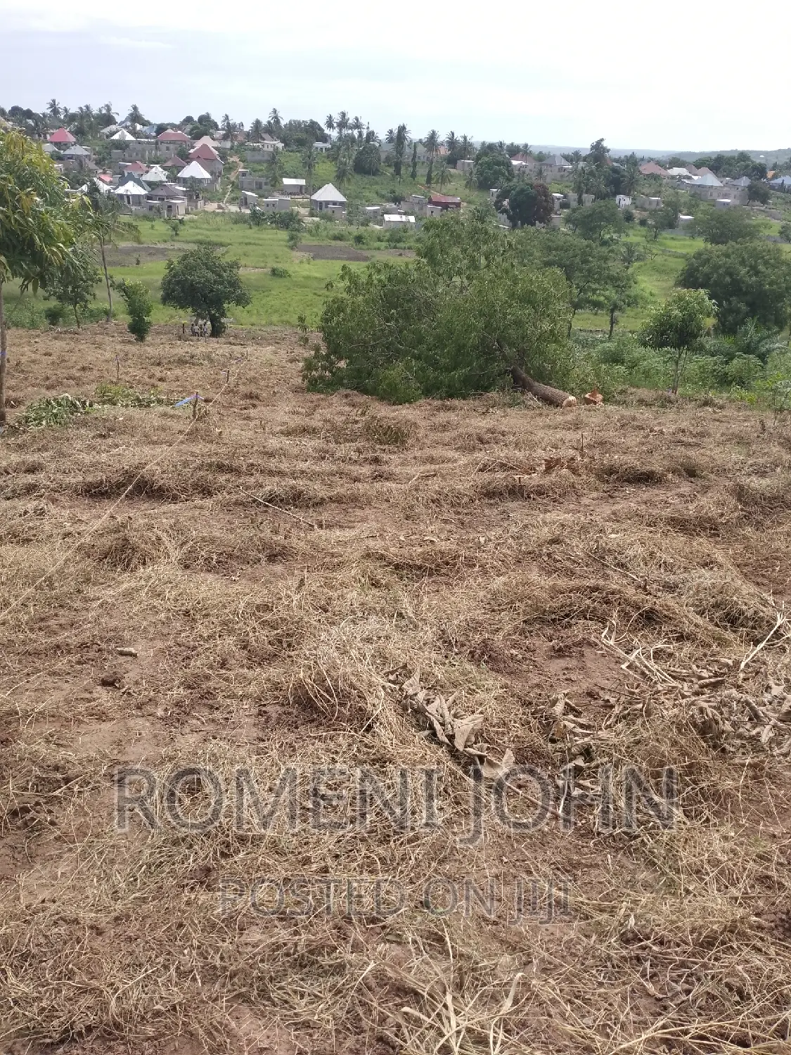 Kiwanja Sqmita 200 Kinauzwa Ml 2.8 Chanika Buyuni. in Ilala