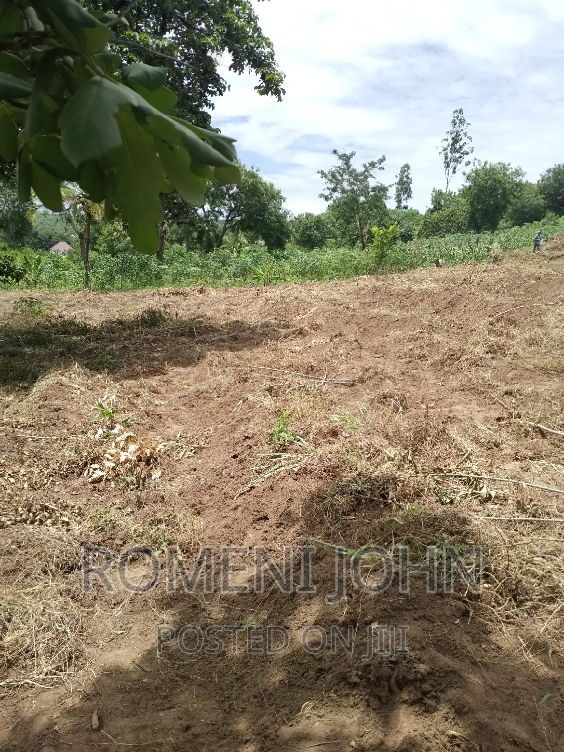 Kiwanja Sqmita 200 Kinauzwa Ml 3.1 Chanika Buyuni. in Ilala