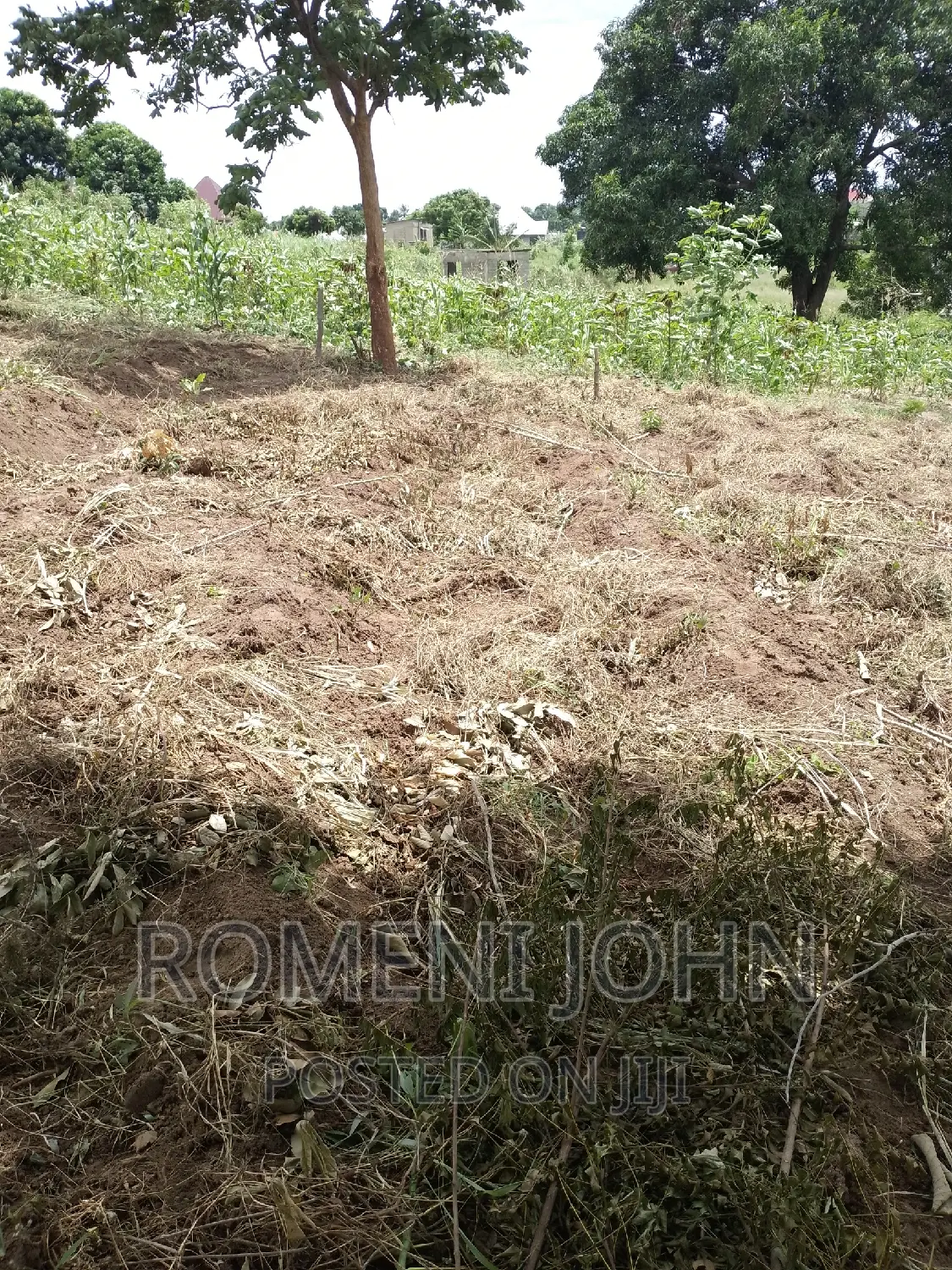 Kiwanja Sqmita 200 Kinauzwa Ml 3.3 Chanika Buyuni. in Ilala