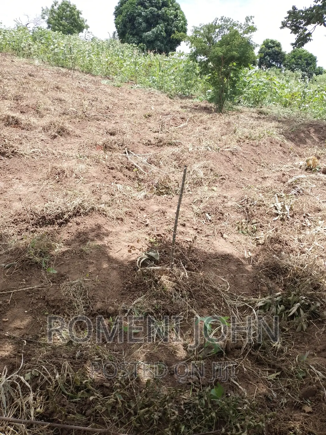 Kiwanja Sqmita 200 Kinauzwa Ml 3.3 Chanika Buyuni. in Ilala