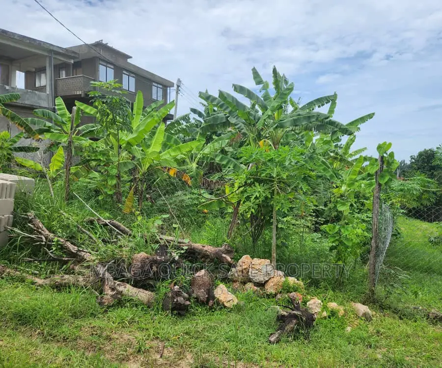Plot for Sale at Salasala Kinzudi in Mbezi