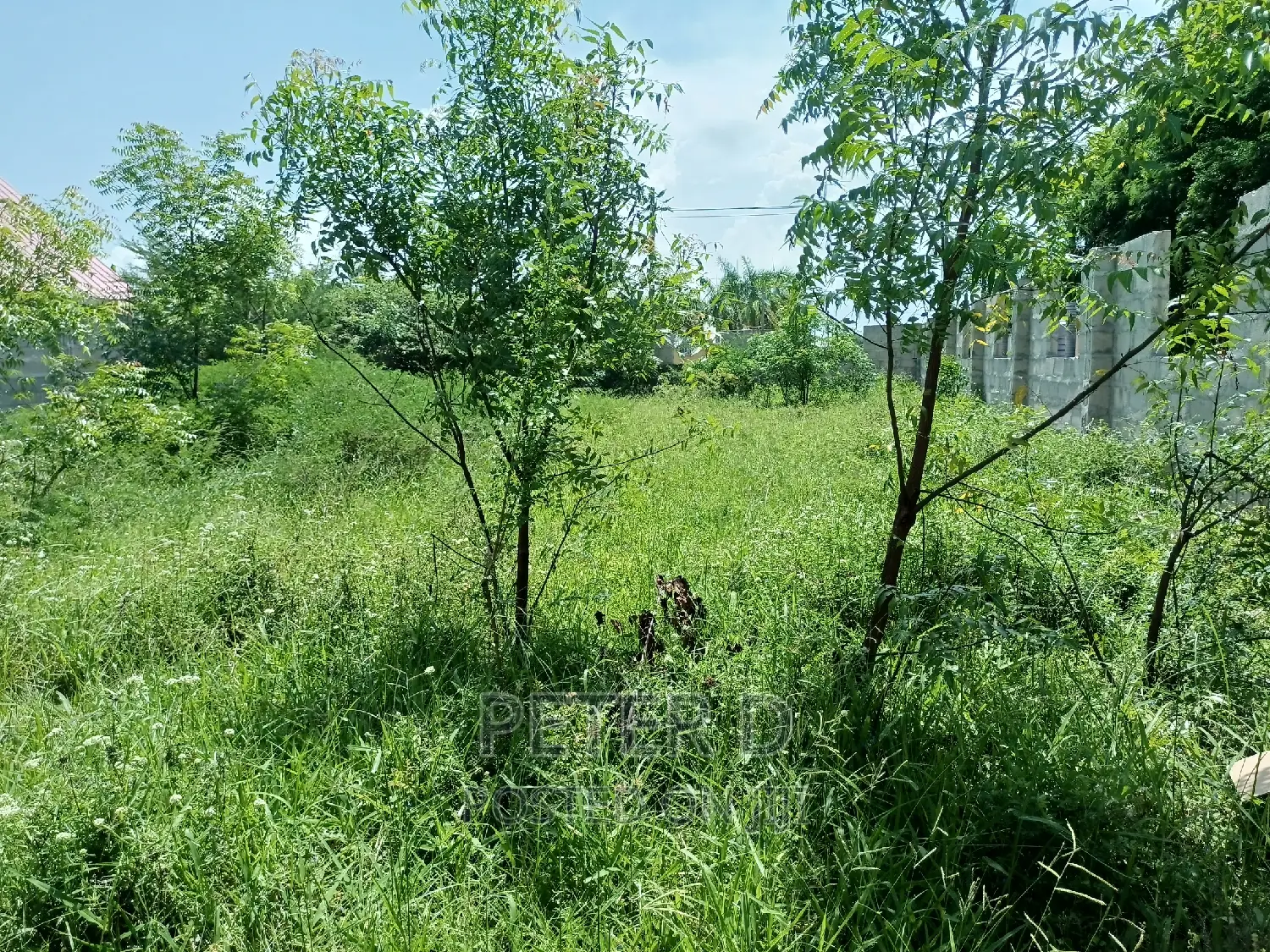 Kiwanja Mbweni in Mbweni