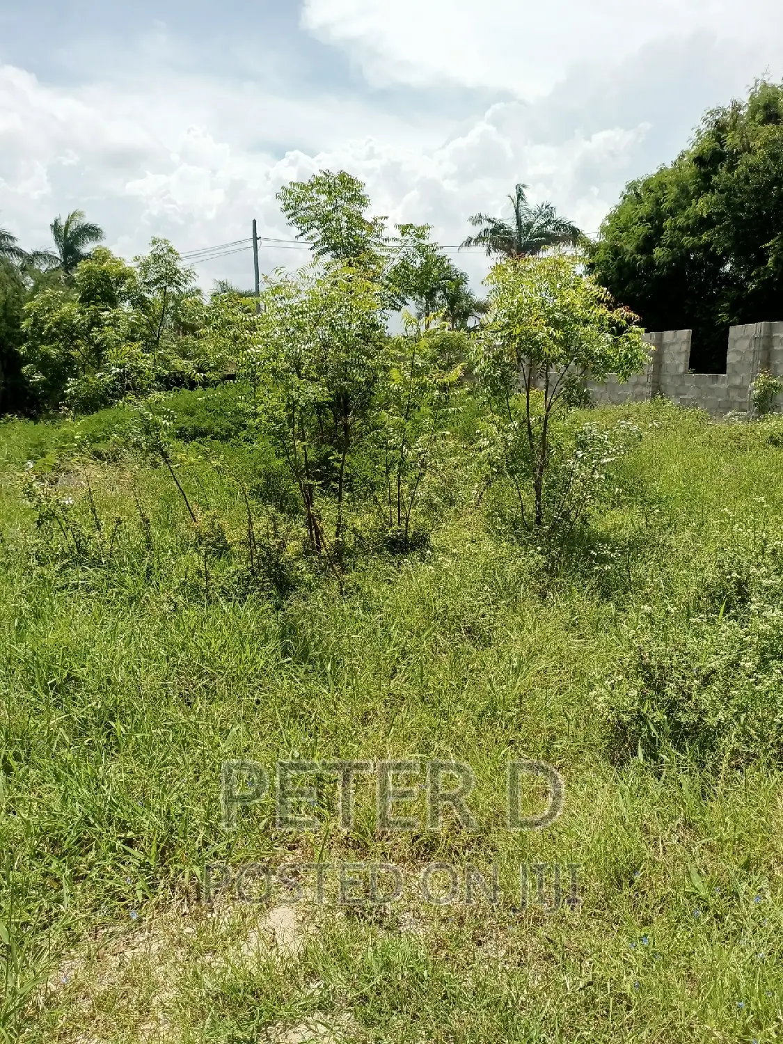 Plot Near Main Road in Mbweni