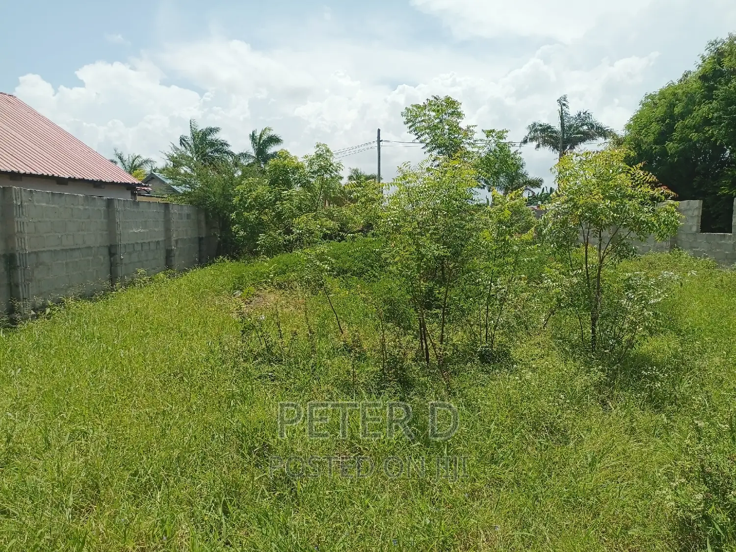 Plot Near Main Road in Mbweni