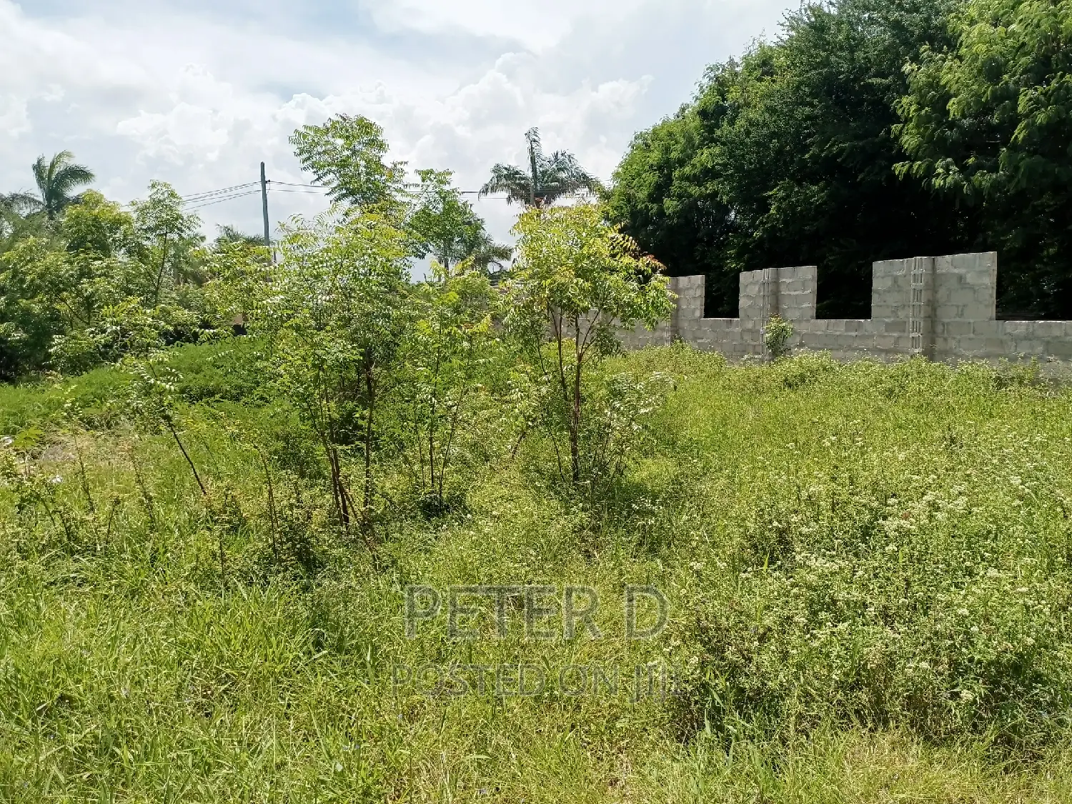 Plot Near Main Road in Mbweni