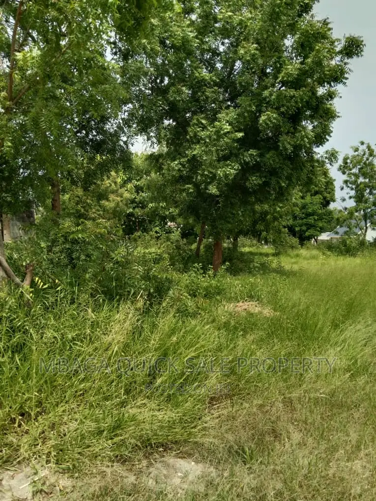 Plot for Sale at Salasala Mwanzo in Mbezi