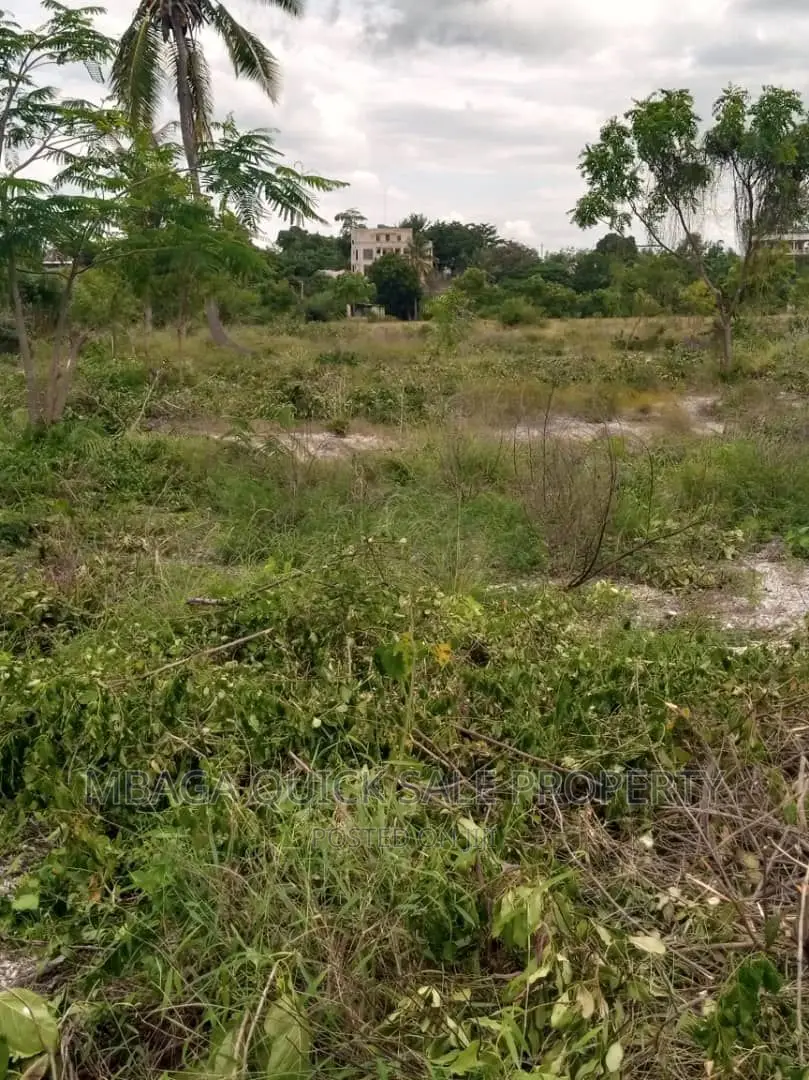 Big Plot for Sale at Bagamoyo Kaole in Kiromo