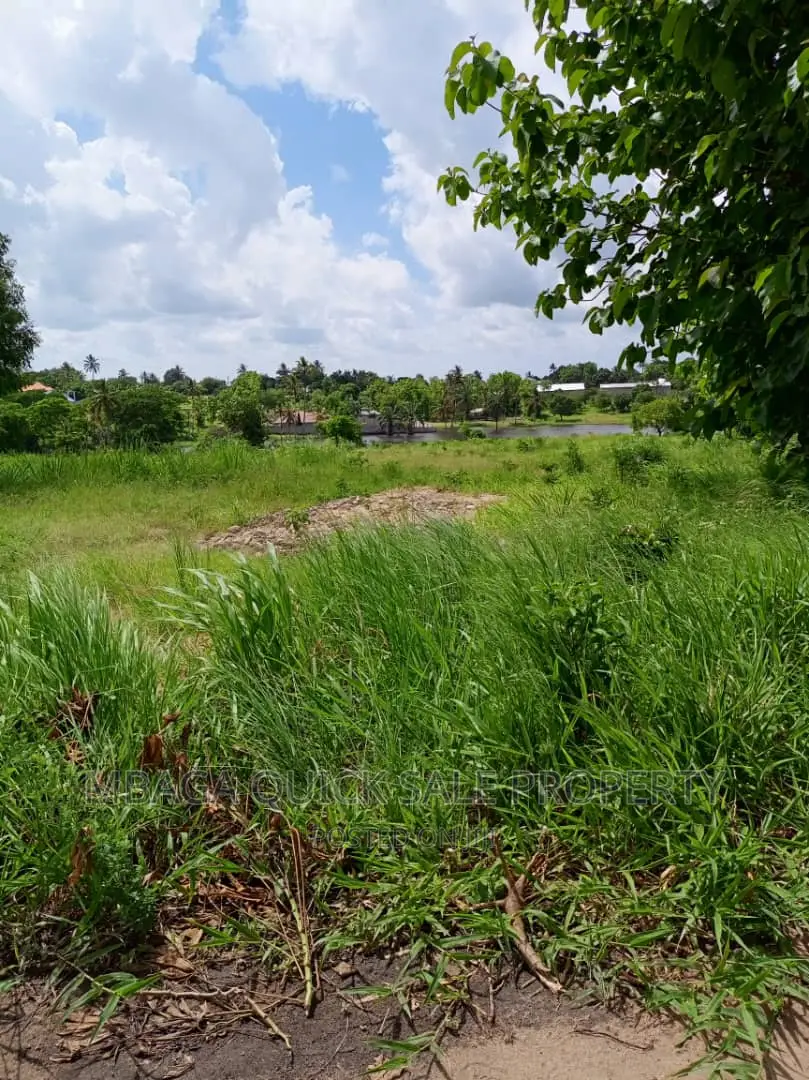 Plot for Sale at Mabwepande in Masuguru