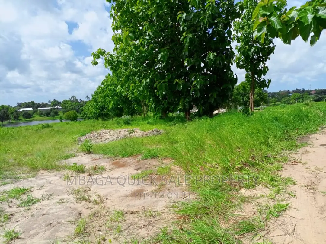 Plot for Sale at Mabwepande in Masuguru