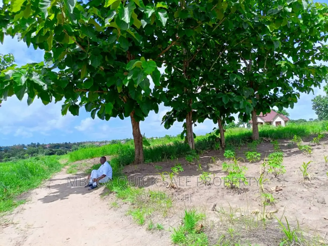 Plot for Sale at Mabwepande in Masuguru