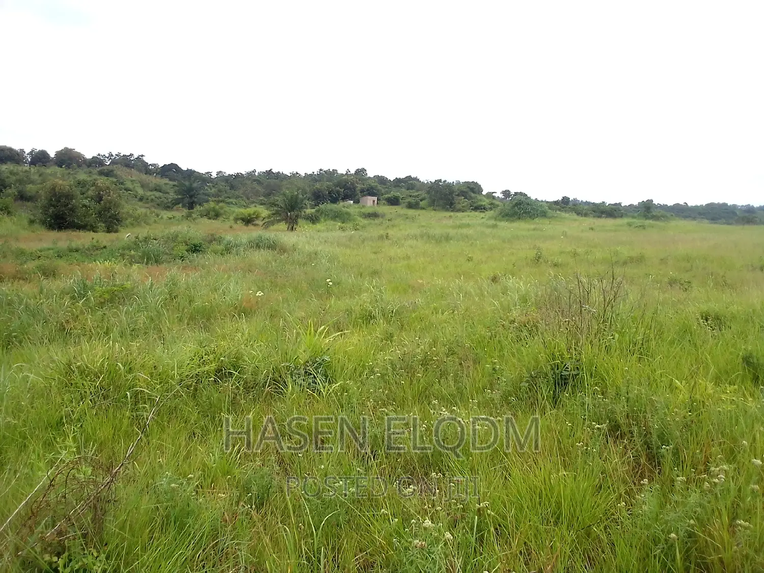 Shamba 2.6 Acre Linakodishwa Farm for Rent in Msanga