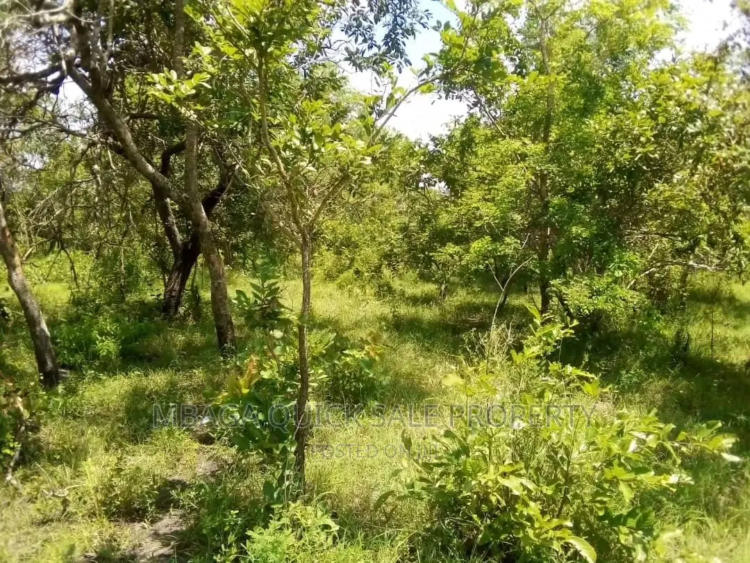 Farm for Sale at Bagamoyo Mkange Village 650 Acres 160m in Bagamoyo