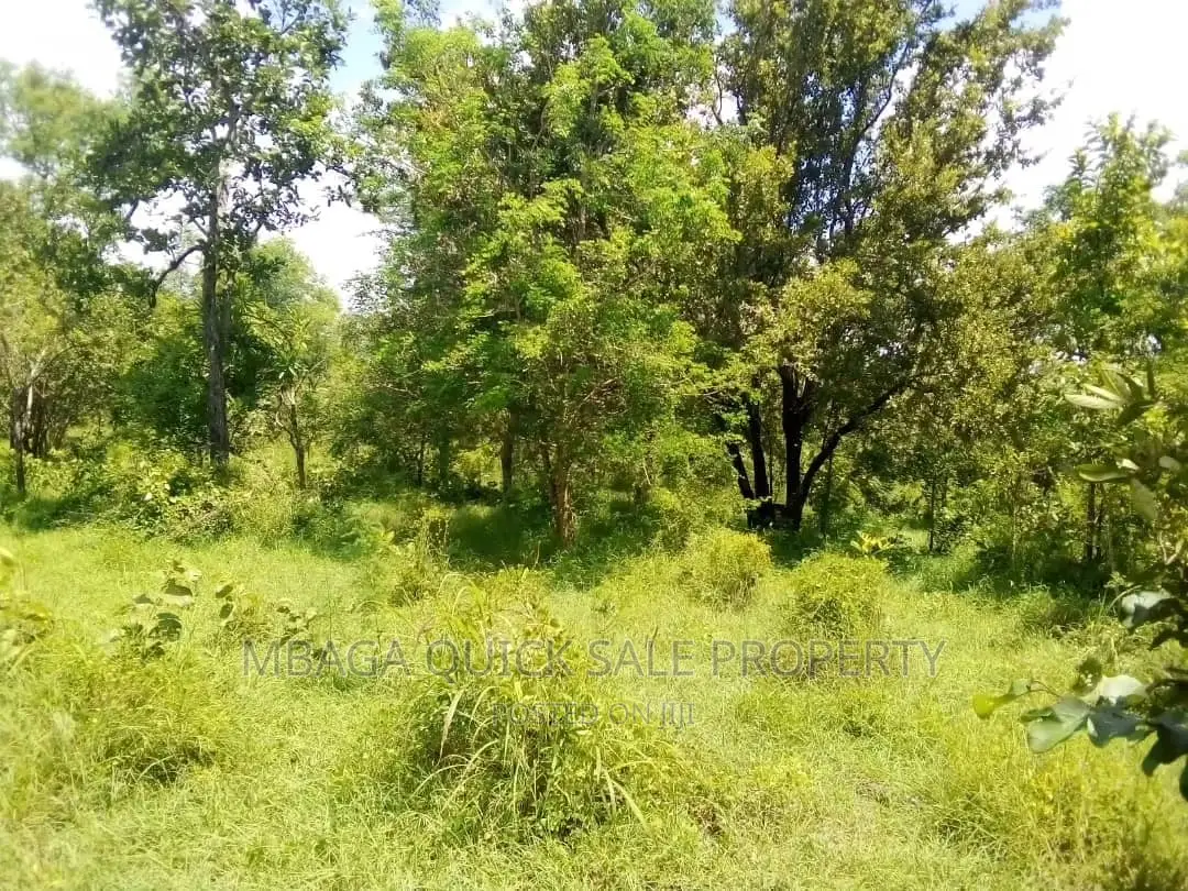 Farm for Sale at Bagamoyo Mkange Village 650 Acres 160m in Bagamoyo
