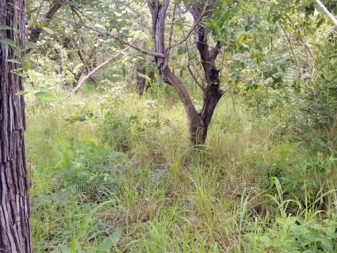 Farm for Sale at Bagamoyo Mkange Village 650 Acres 160m in Bagamoyo