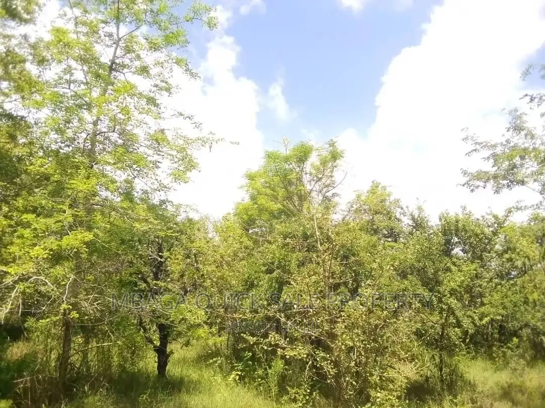Farm for Sale at Bagamoyo Mkange Village 650 Acres 160m in Bagamoyo