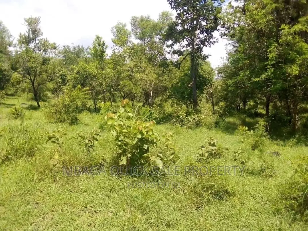 Farm for Sale at Bagamoyo Mkange Village 650 Acres 160m in Bagamoyo