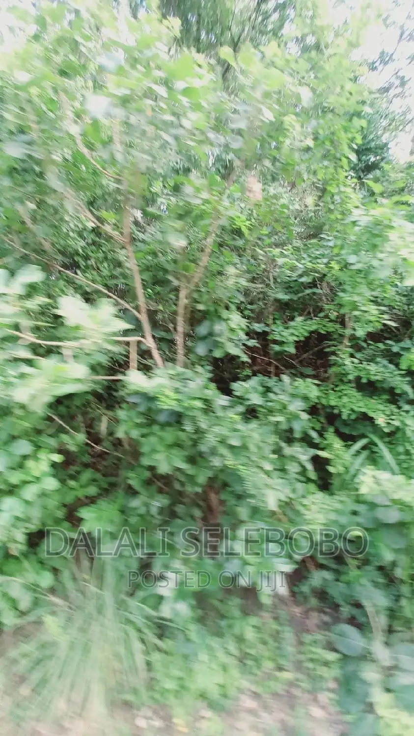 Kyegolomola Kiziru Kyaifo in Karabagaine