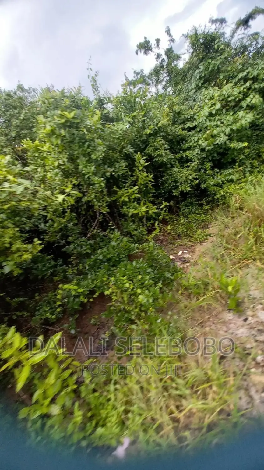 Kyegolomola Kiziru Kyaifo in Karabagaine