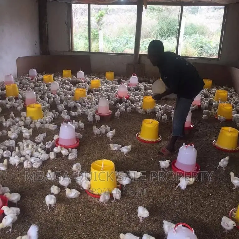 Farm for Sale at Morogoro Mikese in Mafisa