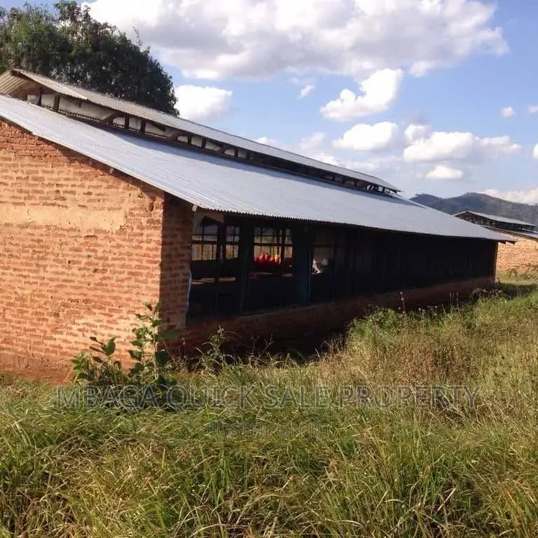 Farm for Sale at Morogoro Mikese in Mafisa